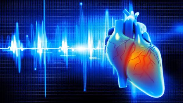 Kalp Yetersizliğinin Nedenleri Nelerdir?